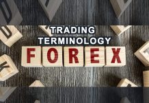 Trading terminology in the Forex Market