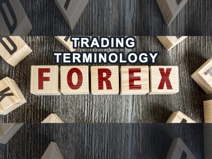 Trading terminology in the Forex Market