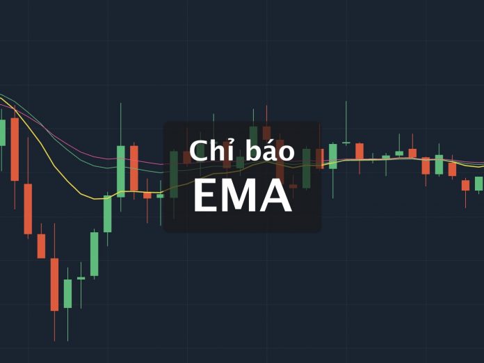 Chỉ báo EMA cơ bản cho người mới lẫn dân chuyên