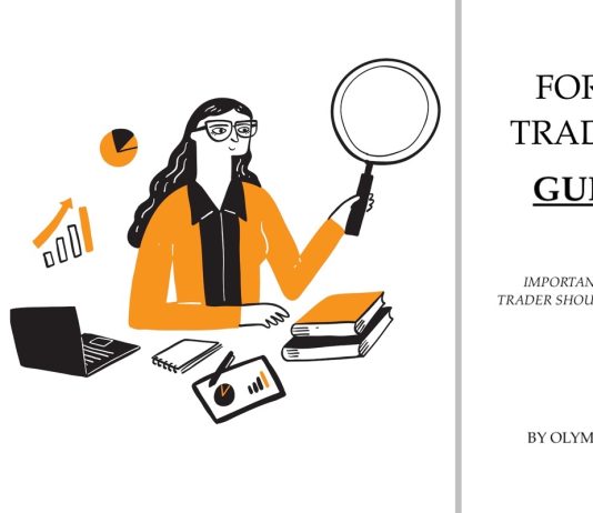 Forex Trader Guide: Important factors for newbies